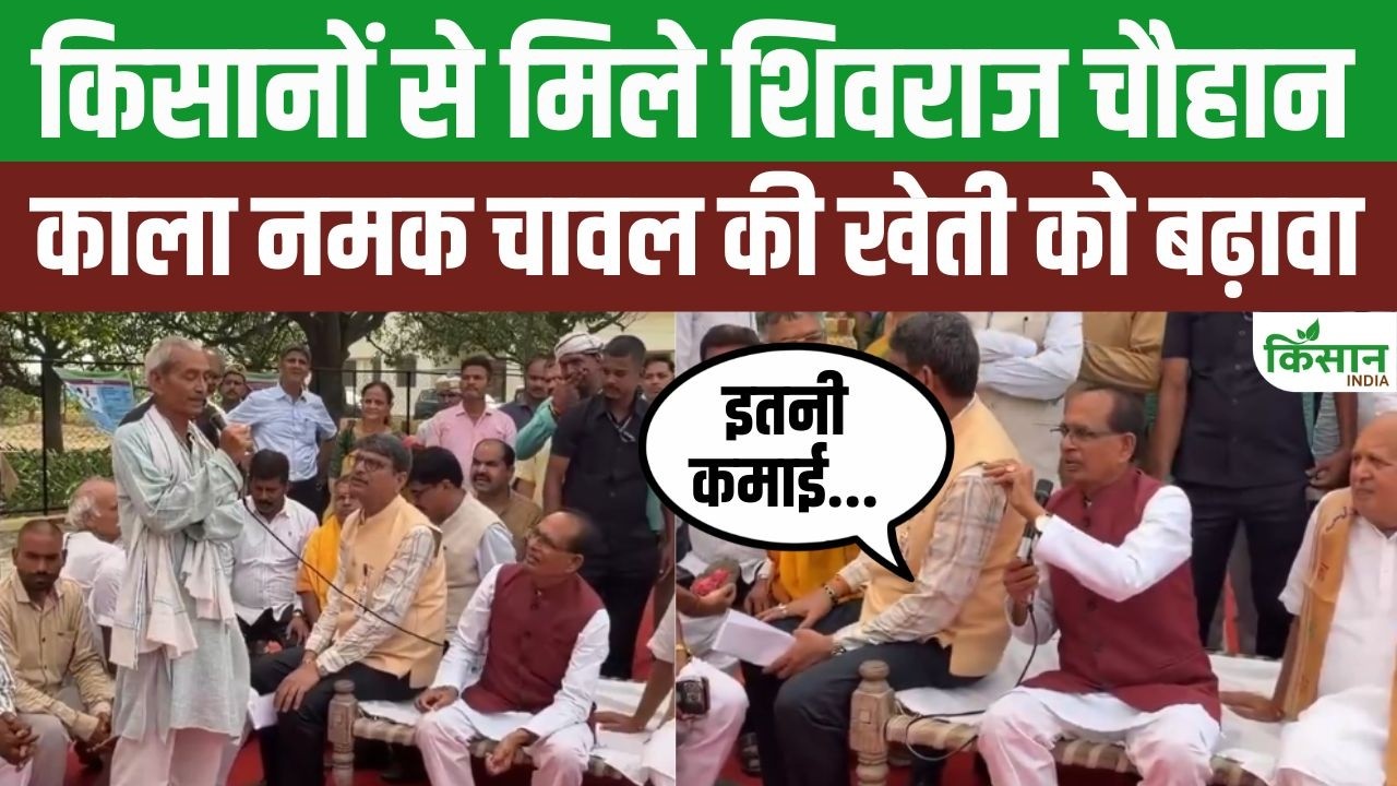 Shivraj Singh Chouhan Met With Farmers From Ayodhya And Made A Major Announcement Boost Cultivation Kala Namak Rice