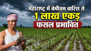 किसानों को राहत ! सरकार ने गिरदावरी करने के दिए निर्देश.. फसल नुकसान का मिलेगा मुआवजा किसानों को राहत ! सरकार ने गिरदावरी करने के दिए निर्देश.. फसल नुकसान का मिलेगा मुआवजा