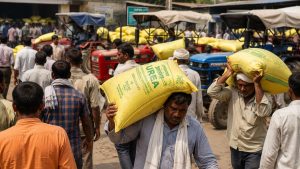 गाजियाबाद में खाद की किल्लत पर भड़के किसान, सहकारी समिति के गोदाम से उठा ले गए 350 कट्टे यूरिया गाजियाबाद में खाद की किल्लत पर भड़के किसान, सहकारी समिति के गोदाम से उठा ले गए 350 कट्टे यूरिया