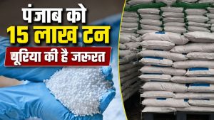 कृषि निदेशक का दावा- नहीं है खाद की कोई कमी, 10 लाख टन से अधिक है यूरिया का स्टॉक कृषि निदेशक का दावा- नहीं है खाद की कोई कमी, 10 लाख टन से अधिक है यूरिया का स्टॉक