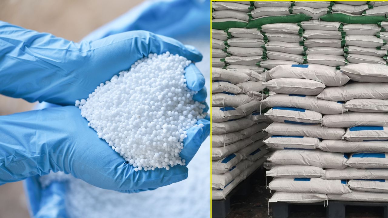 Major Action Taken Over Fertilizer Supply Irregularities Charge Sheet Issued Against 7 Officials In Punjab