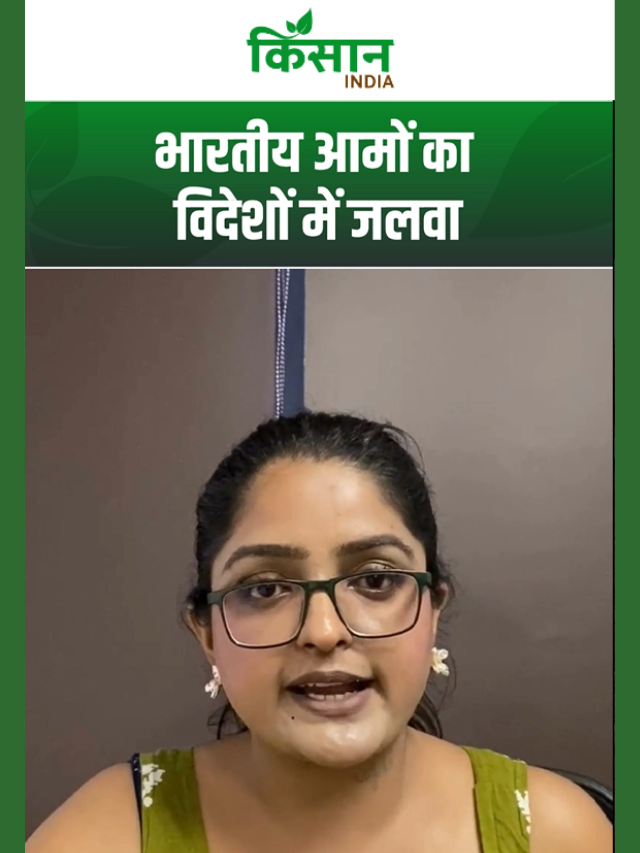 हवाई जहाज छोड़ समुद्री रास्ते से सिंगापुर पहुंचा भारतीय आम, APEDA ने खोला 200 करोड़ का नया पिटारा