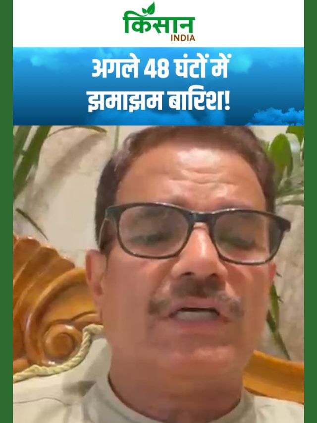 मॉनसून ने पकड़ी रफ्तार, अगले 48 घंटों में इन इलाकों में जबरदस्त बारिश!