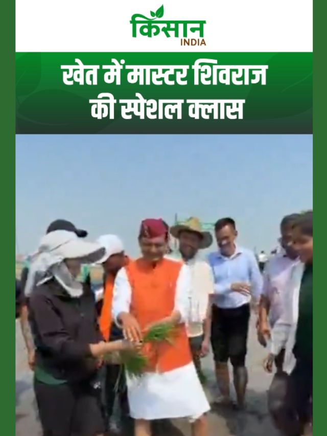उत्तराखंड में शिवराज सिंह चौहान की अनोखी पाठशाला, कृषि छात्रों के साथ कृषि मंत्री ने रोपी धान!