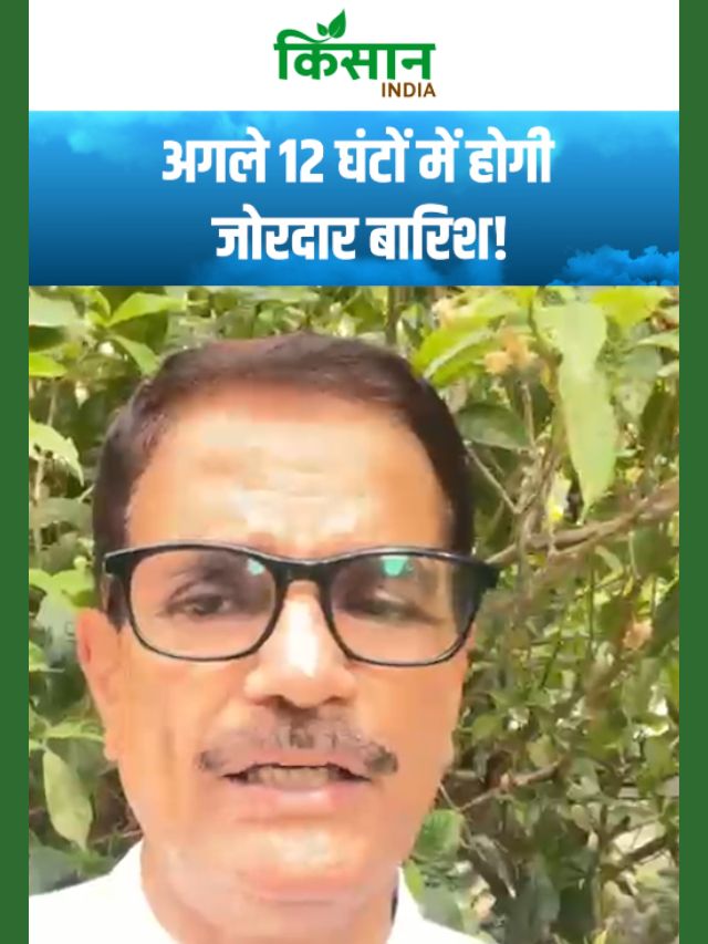 अगले 24 घंटों में कैसा रहने वाला है मौसम का हाल? इन इलाकों में होगी जबरदस्त बारिश!
