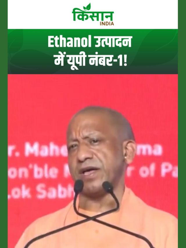सीएम योगी का बड़ा दावा: देश में सबसे ज्यादा इथेनॉल उत्पादन कर रहा उत्तर प्रदेश!
