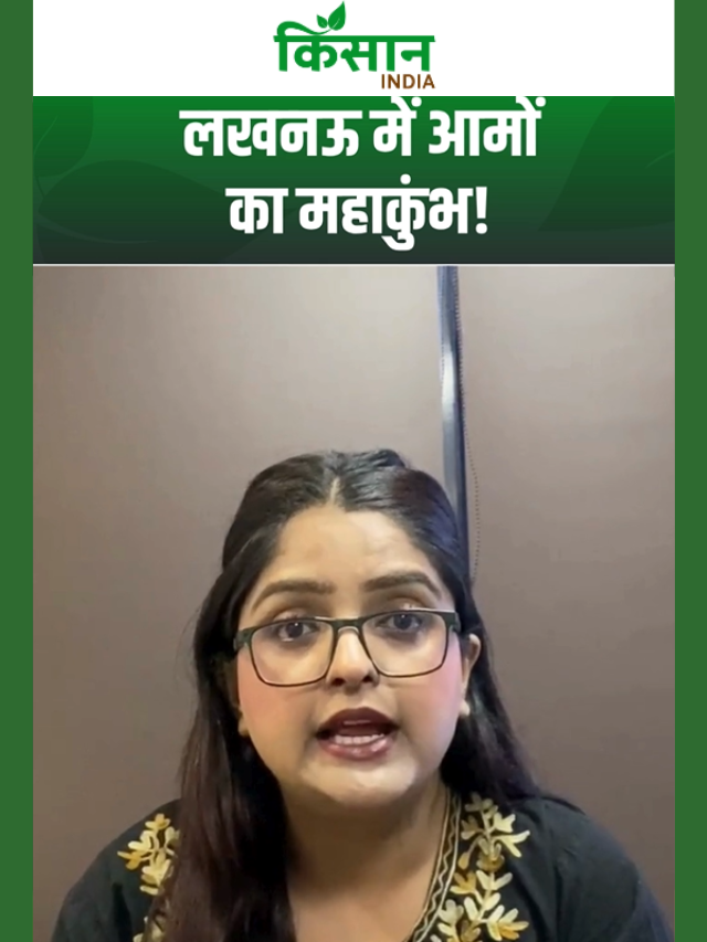 लखनऊ में किसान लाएंगे 100 से ज्यादा किस्मों के आम, यूपी आम महोत्सव 2026 की तारीखों का ऐलान