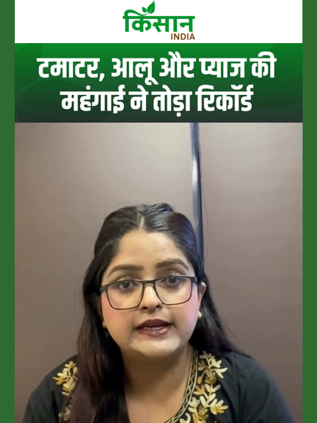 1 महीने में 60 रुपये तक महंगी हुई सब्जियां, सांख्यिकी मंत्रालय के आंकड़ों ने बढ़ाई चिंता