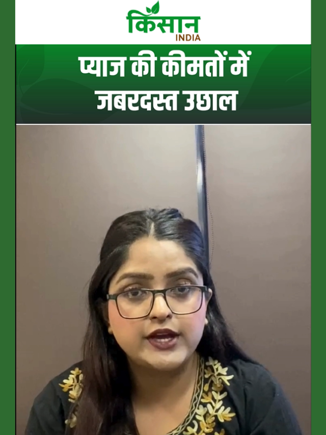 प्याज के दामों में जबरदस्त उछाल! लासलगांव मंडी में 15% बढ़े रेट, 6 महीने के सबसे ऊंचे स्तर भाव