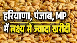 गेहूं खरीदी में 17 फीसदी उछाल, 3 करोड़ टन के पार पहुंचा आंकड़ा.. जानें किस राज्य में हुई कितनी खरीद गेहूं खरीदी में 17 फीसदी उछाल, 3 करोड़ टन के पार पहुंचा आंकड़ा.. जानें किस राज्य में हुई कितनी खरीद