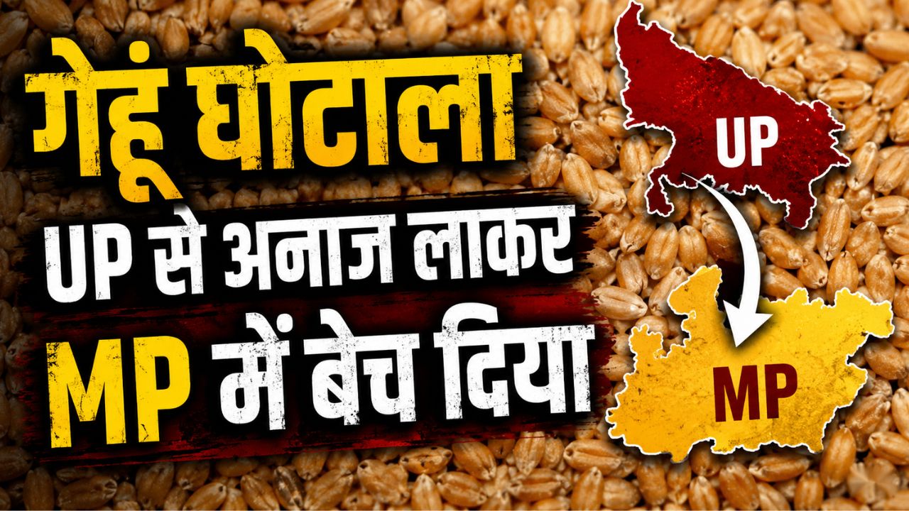 Wheat Procurement Scam In Mp 18000 Quintals Grain Fraudulently Sold 15 Patwaris Suspended