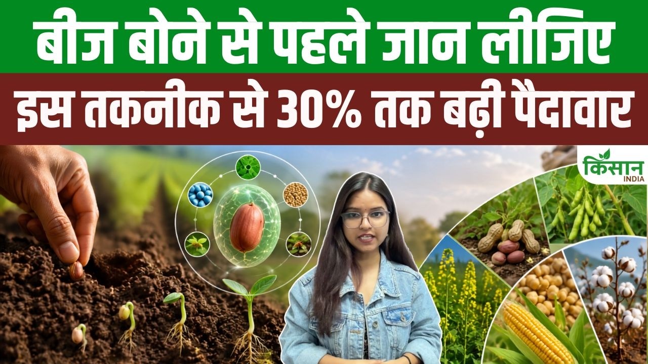 Smart Seed Coating Technique Brings Major Relief To Farmers A Crop Yield Increase Of Up To 30 Percent Is Possible At A Lower Cost