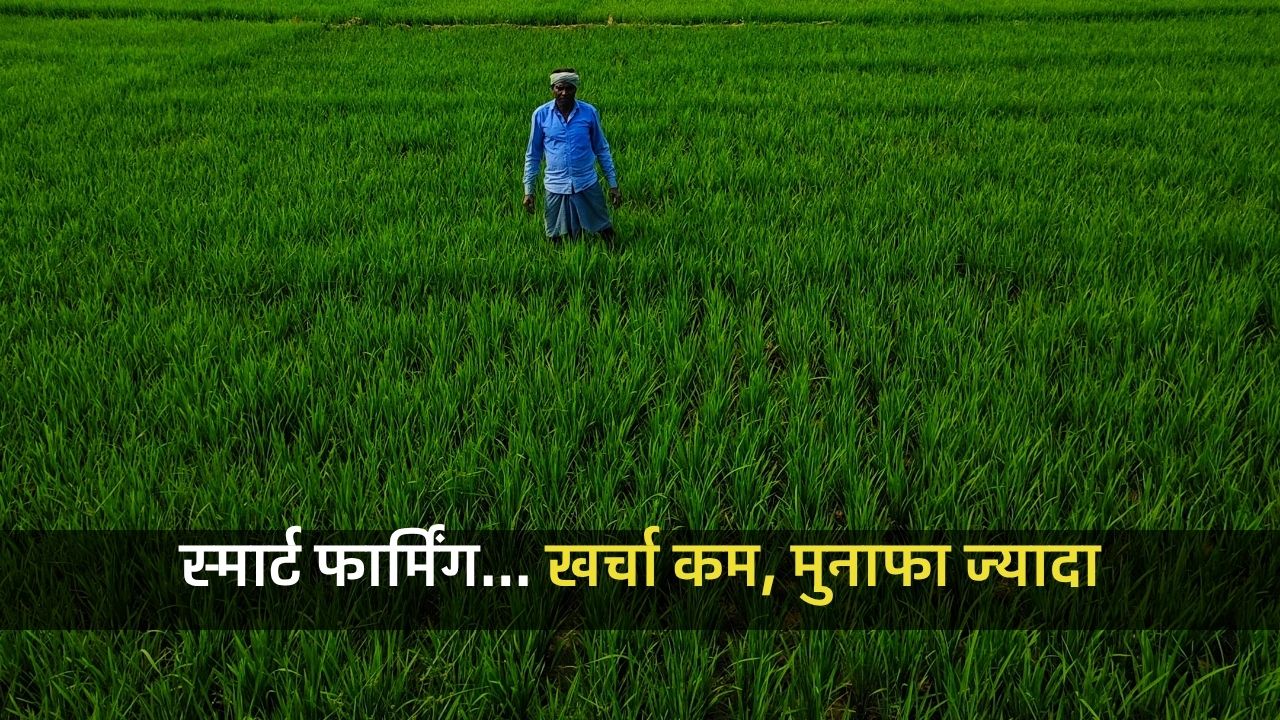 Itc Climate Smart Agriculture Farmers Income Cost Reduction Annual Report 2025 26