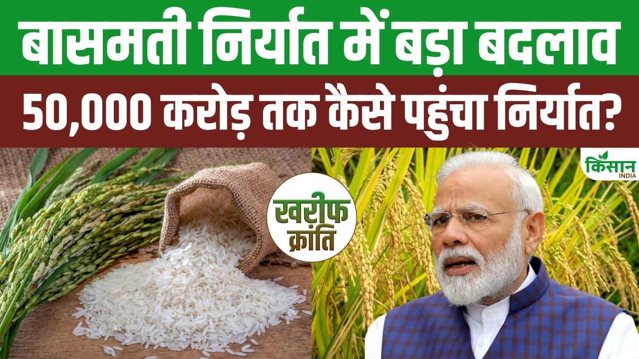 45 किस्मों पर रोक के साथ बदलेगा बासमती निर्यात नियम, किसानों और व्यापारियों के लिए नई चुनौती