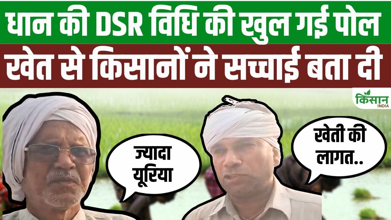 Farmers Anger Erupts Allegations Arise That Claims Water Savings With Dsr Technology Proven Completely False