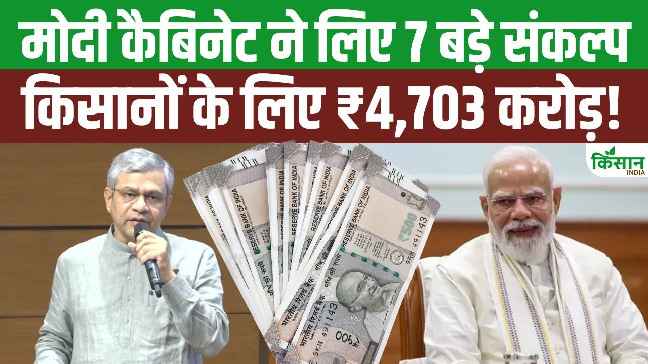 Modi Cabinet में किसानों के लिए 4,703 करोड़ के 3 बड़े फैसलों पर लगी मुहर!