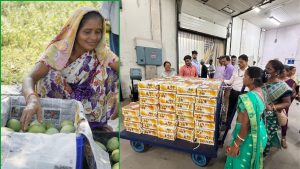 झारखंड के आम्रपाली आम का लंदन में जलवा, सिमडेगा से 1.5 टन की खेप रवाना.. किसानों की बंपर कमाई झारखंड के आम्रपाली आम का लंदन में जलवा, सिमडेगा से 1.5 टन की खेप रवाना.. किसानों की बंपर कमाई