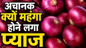 लासलगांव मंडी में प्याज महंगा, कीमतों 18 फीसदी बढ़ोतरी.. क्या रिटेल मार्केट पर पड़ेगा असर ?