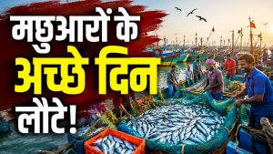 मछली पकड़ने पर 61 दिन की रोक खत्म, 15000 नावों के साथ एक लाख मछुआरों की कमाई शुरू मछली पकड़ने पर 61 दिन की रोक खत्म, 15000 नावों के साथ एक लाख मछुआरों की कमाई शुरू