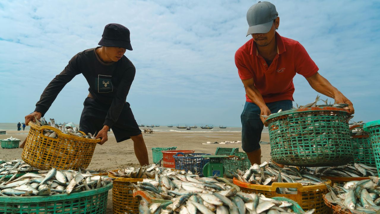 Fishermen Welfare Scheme Health Housing Benefits Up Government Plan