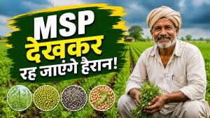 Kharif Crops: धान छोड़ इन फसलों की करें खेती, MSP सुनकर चौंक जाएंगे किसान Kharif Crops: धान छोड़ इन फसलों की करें खेती, MSP सुनकर चौंक जाएंगे किसान