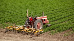 Crop Insurance: फसल बीमा करवाने के बाद न करें ये गलती, वरना क्लेम हो सकता है खारिज