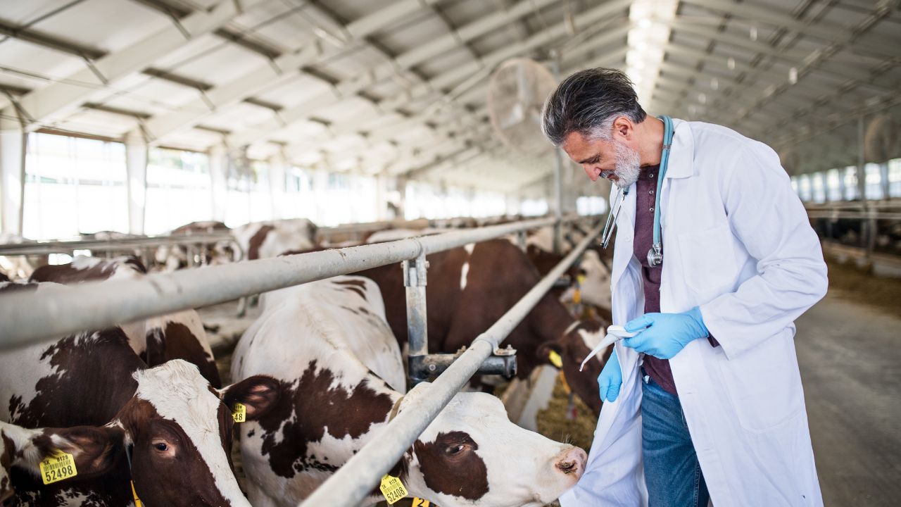 Bihar Free Animal Health Testing Facility Boosts Milk Production And Farmer Income