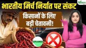 भारतीय मिर्च निर्यात पर मंडराया संकट, कीटनाशकों के बढ़ते इस्तेमाल के बीच बैन की मांग हुई तेज भारतीय मिर्च निर्यात पर मंडराया संकट, कीटनाशकों के बढ़ते इस्तेमाल के बीच बैन की मांग हुई तेज