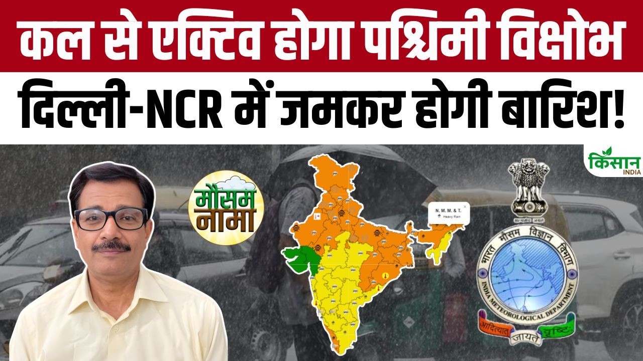 Weather Update: 11 जून से एक्टिव होगा नया पश्चिमी विक्षोभ, Delhi-NCR समेत उत्तर भारत में भारी बारिश!