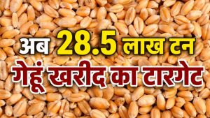 बड़ी राहत ! सरकार ने बढ़ाई गेहूं खरीद की अवधि.. अब 19 जून तक उपज बेच सकेंगे किसान