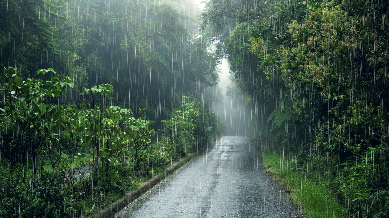 Rain Alert Heavy Rain Alert Bihar And Jharkhand July 15 Weather Update