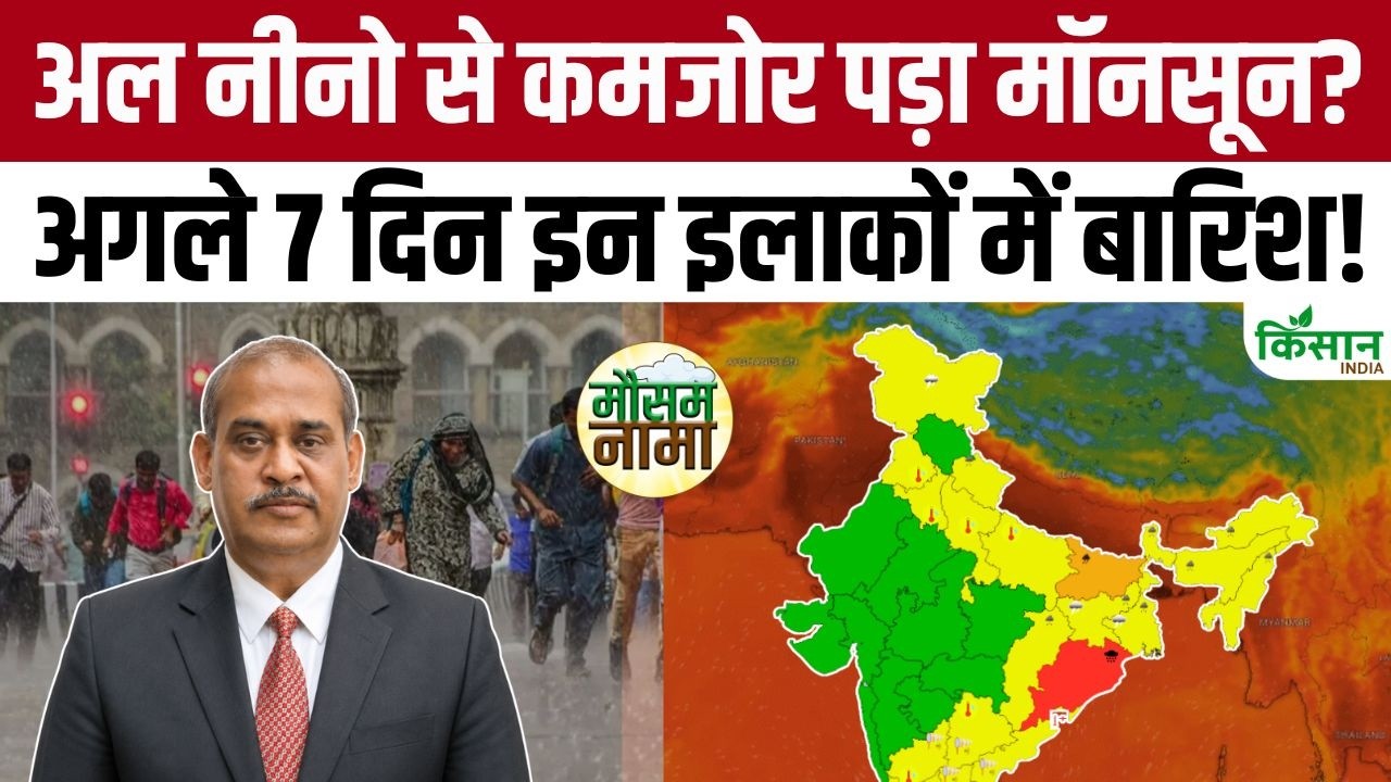 Monsoon Weakened Due To Impact Of El Nino Heavy Rainfall Expected Over Next 7 Days Imd Issues An Alert