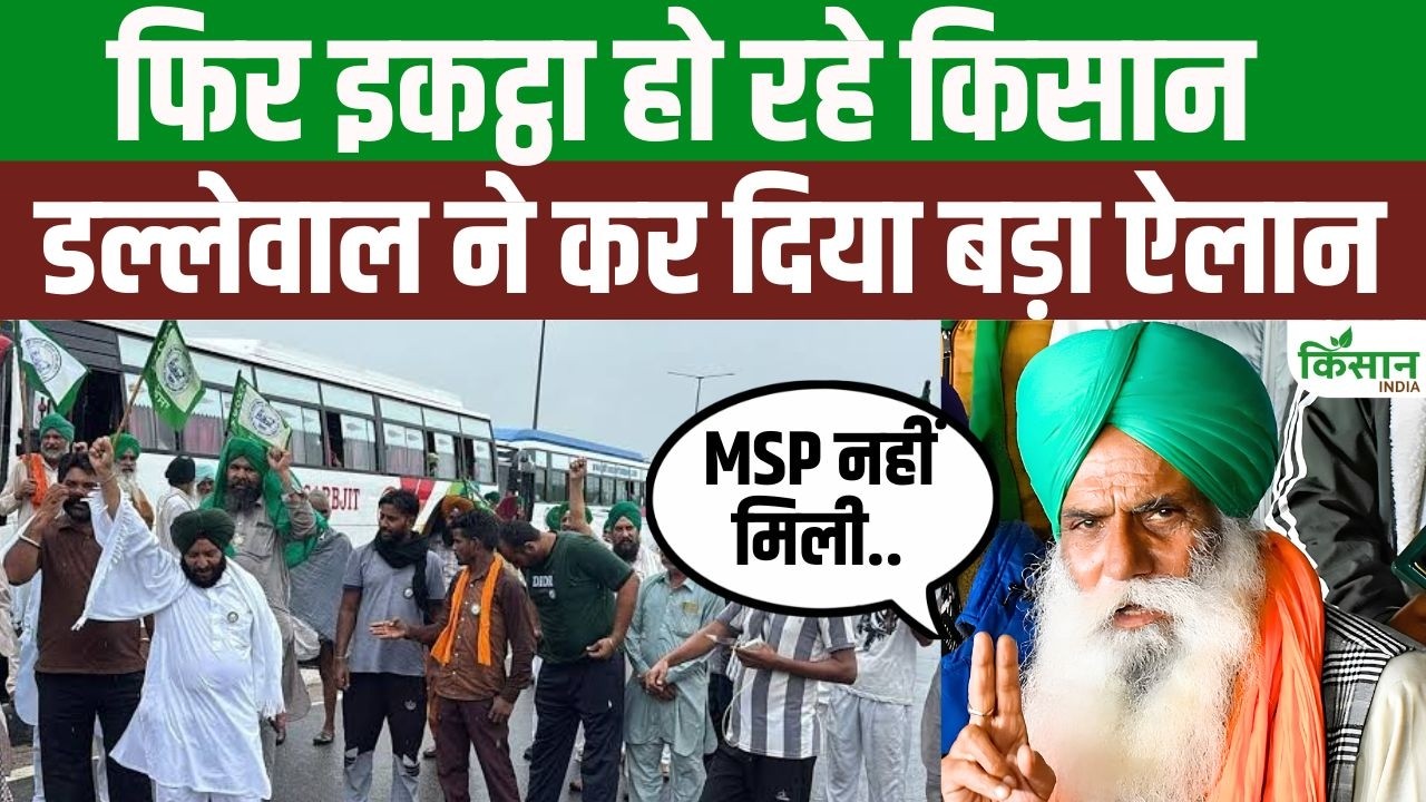 Farmer Leader Jagjit Singh Dallewals Message To Farmers We Must Unite And Fight Again Farmers Protest