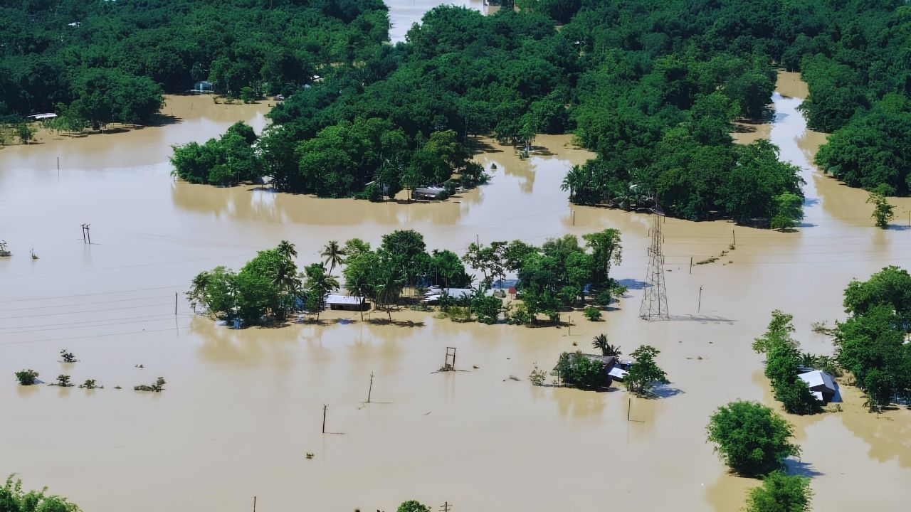Assam Flood More Than 6 Lakh People Affected Death Toll Reaches To 66 34970 Hectares Crops Damaged