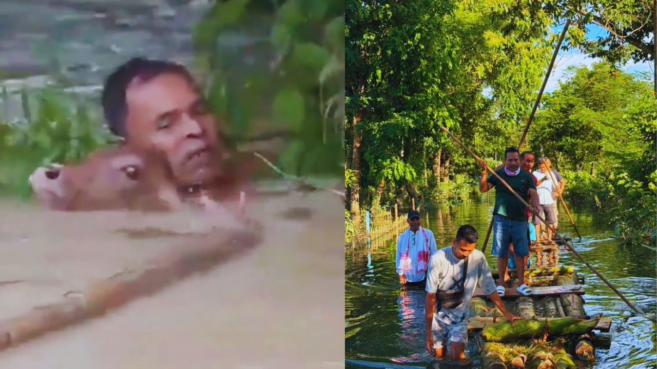 बाढ़ के बीच कई पशुपालक अपनी जान की परवाह किए बिना गाय-भैंसों को सुरक्षित जगह पहुंचाने में जुटे रहे. कोई पानी में उतरकर चारा दिखा रहा था, तो कोई मवेशियों को बहते पानी से निकालने की कोशिश कर रहा था. यह नजारा इंसान और उसके पशुओं के अटूट रिश्ते को बयां करता है.
