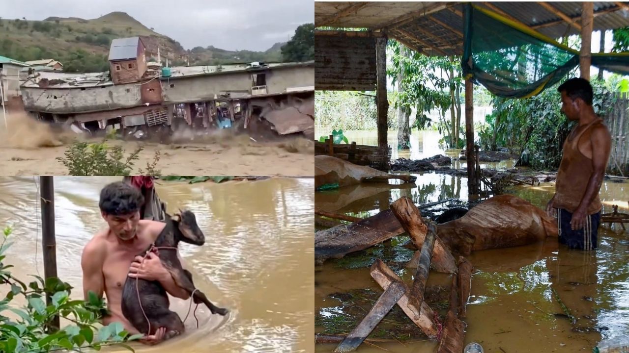 Assam Floods 2026 State Faces One Of The Worst Flood In Recent Years Agriculture To Wildlife Loss