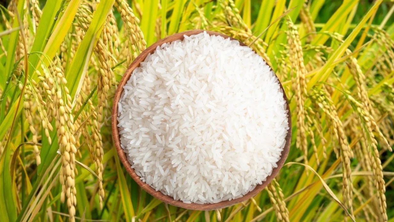 Basmati Gi Row Punjab Haryana Vs Madhya Pradesh Prmea Letter Piyush Goyal