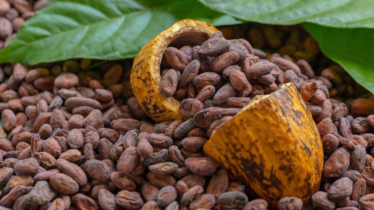 Global Coffee Cocoa Prices Plunge Amind Strong El Nino Fears Volatile Trading Rattles Markets