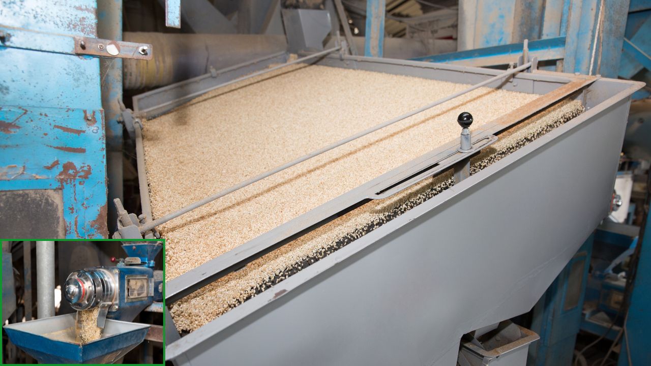 Haryana Rice Millers Have Not Been Hand Over 6 94 Lakh Metric Tonnes Rice To The Food Corporation Of India