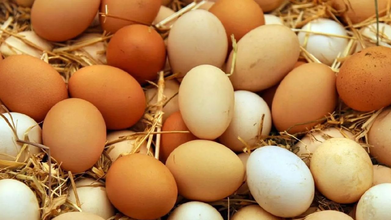 Egg Price Hike The Price Has Risen To Rs10 Per Piece Leading To The Price Increase
