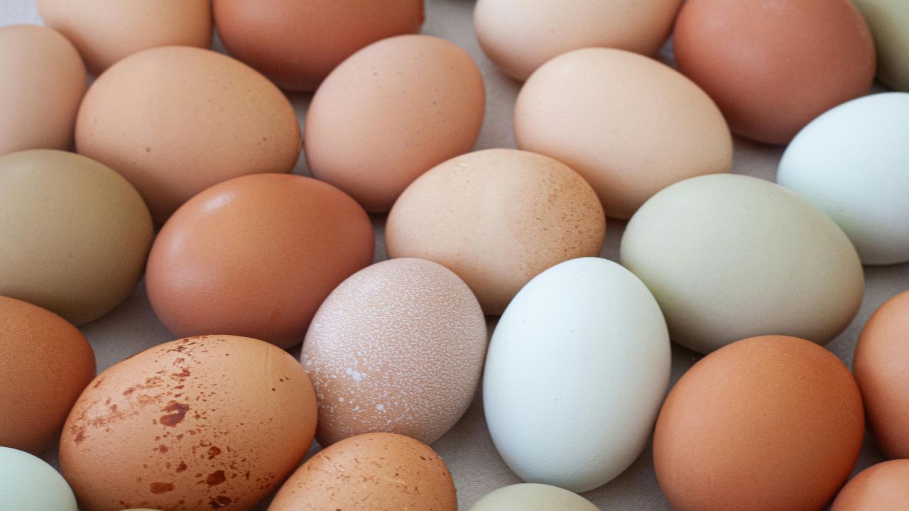 Egg Price Hike Egg Production Egg Retail Price Farm Gate Rate Reaches Rs 6 80 In Namakkal