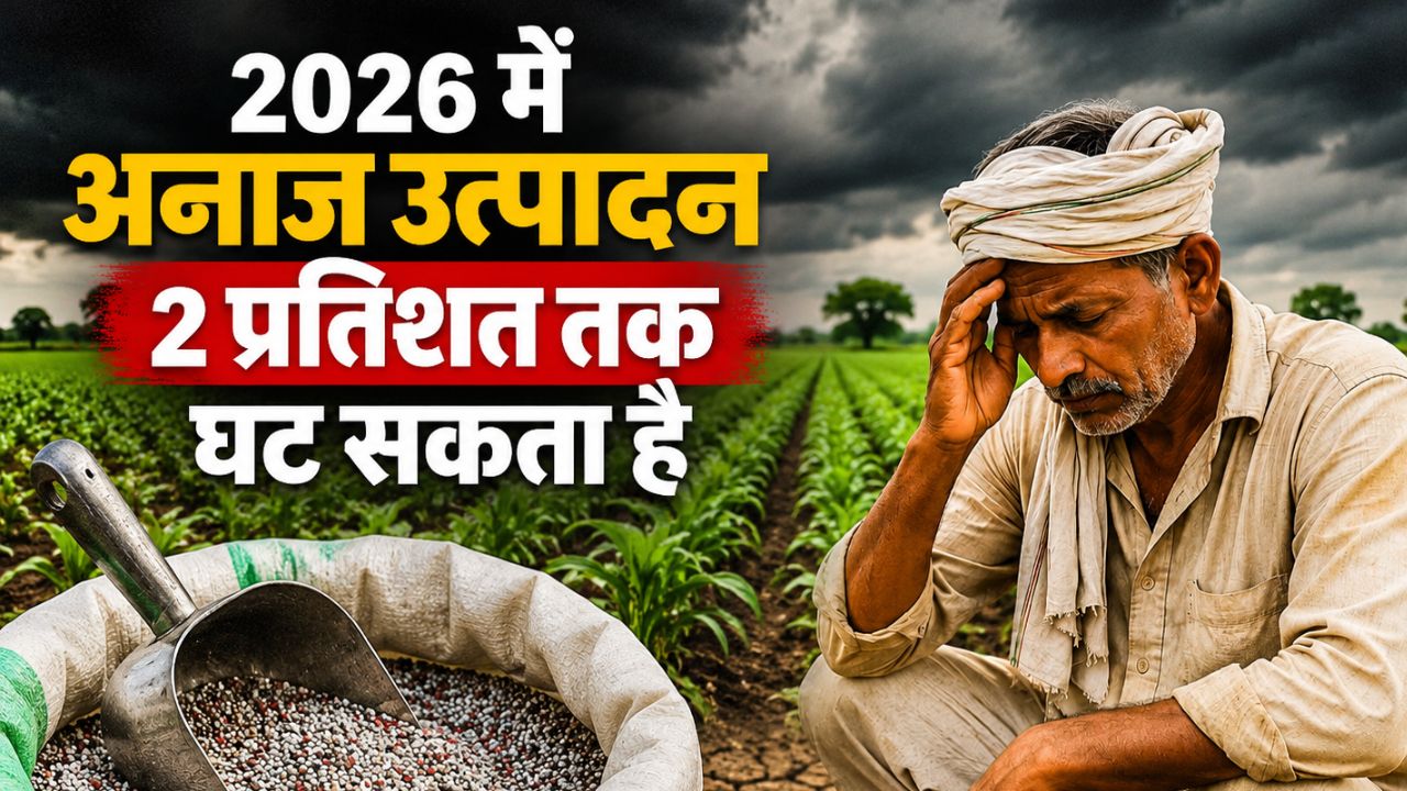 Expensive Fertilizers Become New Problem For Farmers Crop Production May Decrease