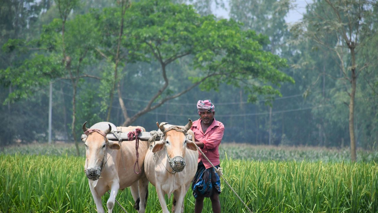 180000 Farmers Loans Will Be Waived Maharashtra Government Spend Rs 1632 12 Crore