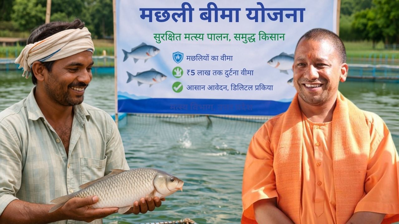 Uttar Pradesh Fish Insurance Scheme Fishermen To Get Rupees 5 Lakh Accident Cover Apply By July 31