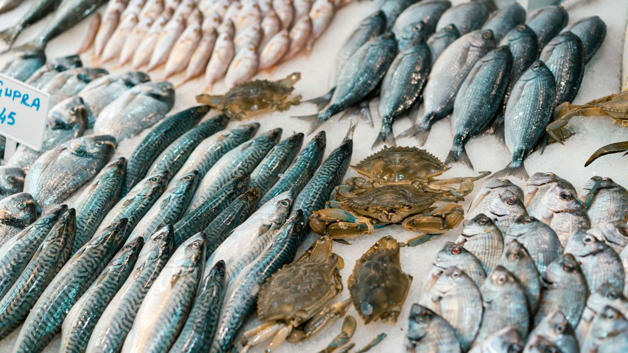 Fish Price Hike Prices Have Increased By Up To 190 Percent Prices Have Reached 580 Rupees Per Kg