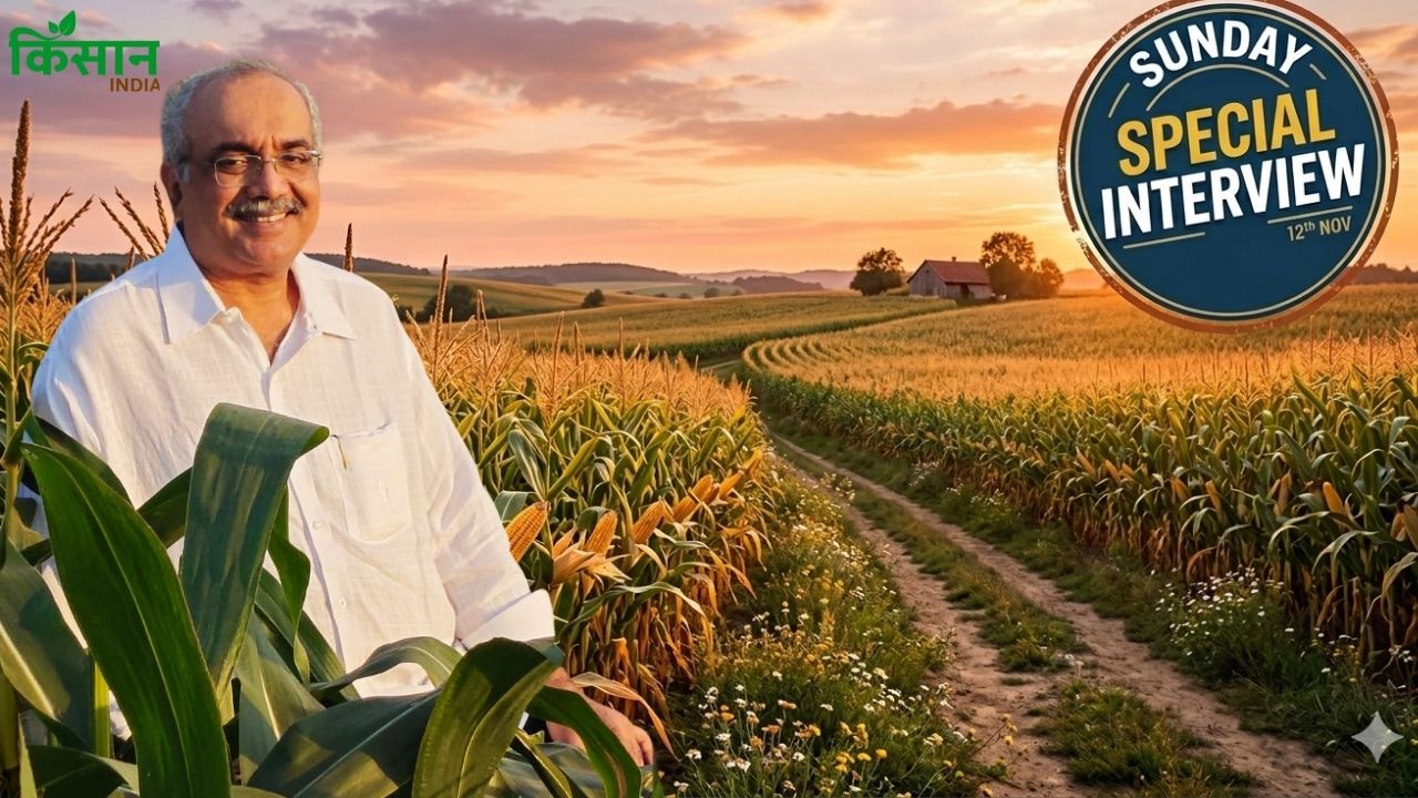 Popcorn Maize High Profit Crop For Indian Farmers Gourmet Popcorn Sbp Pattabhi Rama Rao Interview