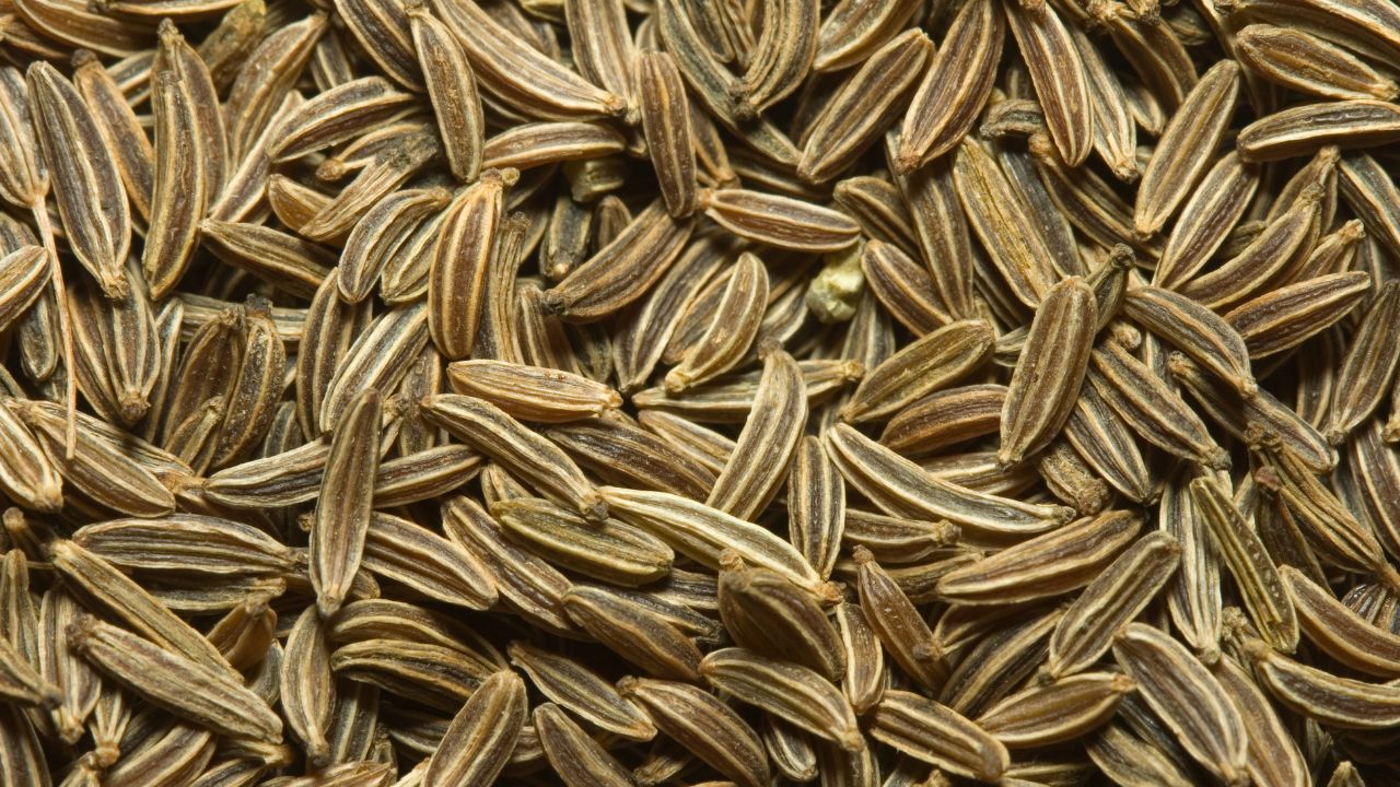 Gujarat Unjha Cumin Fennel Gets Gi Tag Geographical Indication Farmers Expected To Get 20 To 30 Percent Higher Prices