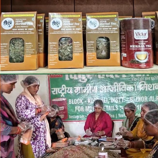 Bijnor Women Herbal Tea Business