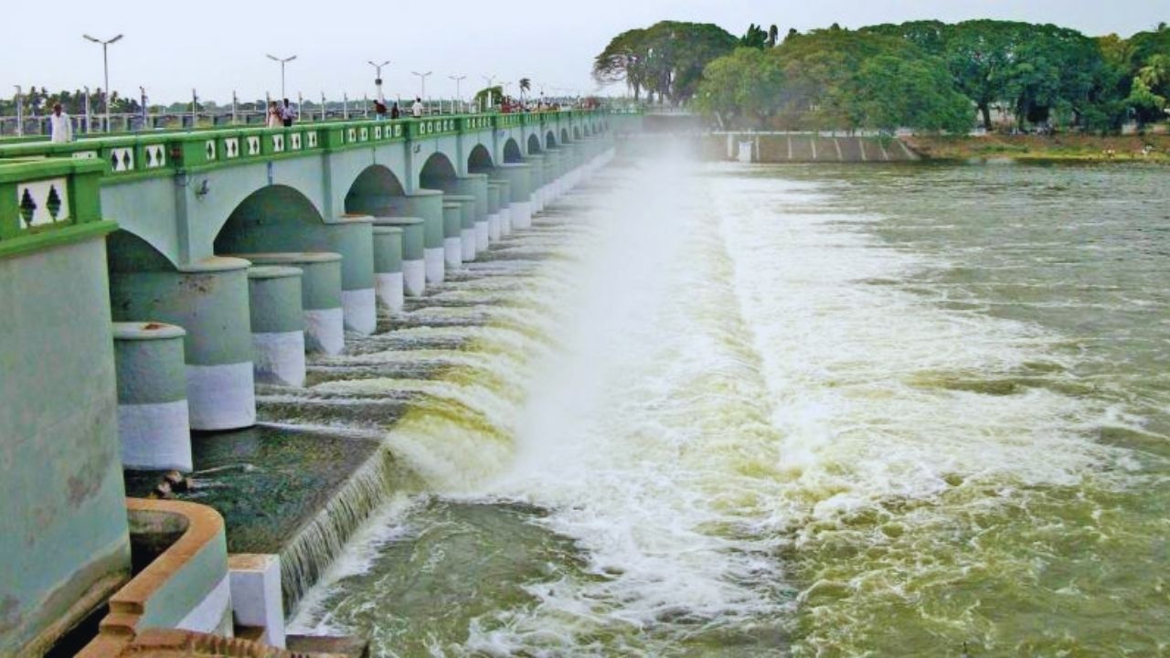 Mekedatu Dam Row Tamil Nadu Protest Karnataka Cauvery Water Dispute Cwma Appeal Kaveri Jal Vivad