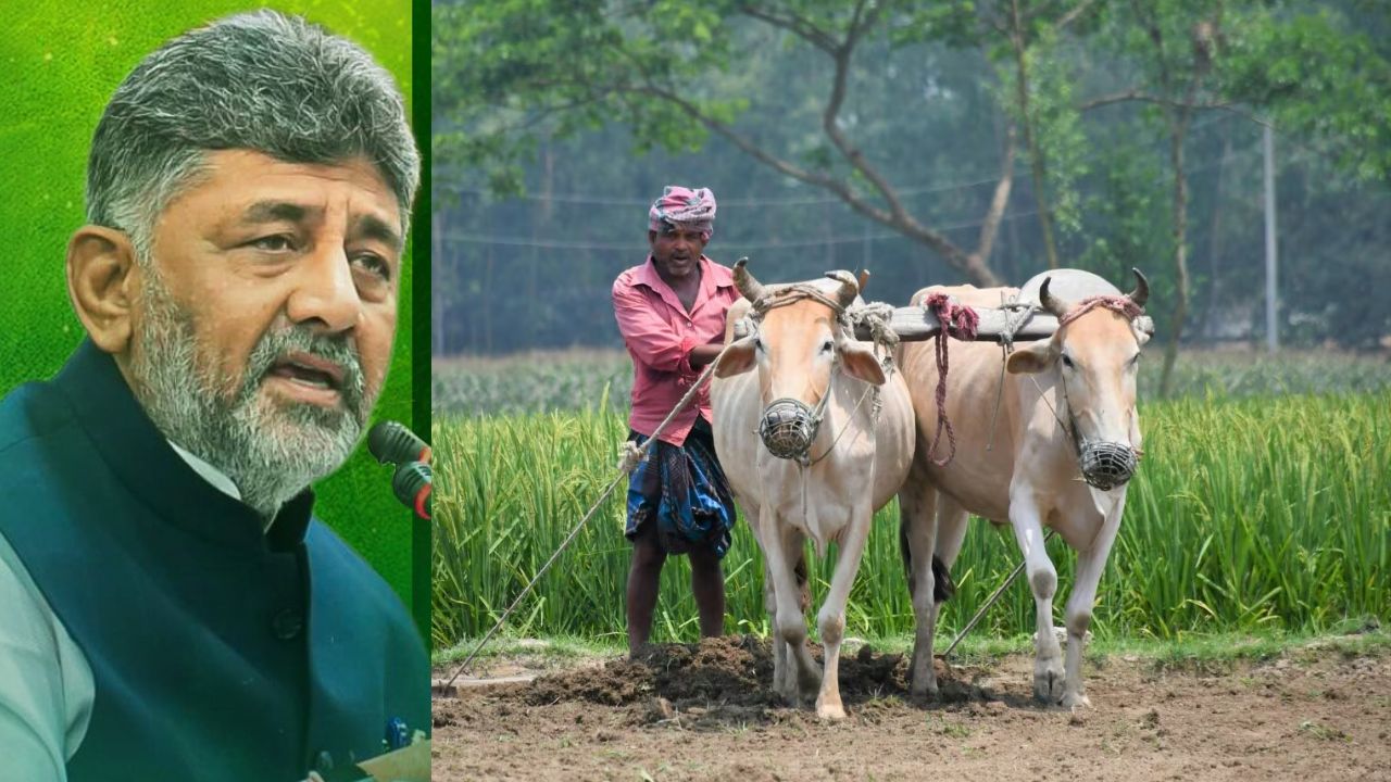 Drought Crisis Deepens In Karnataka Water Inflow Into Several Dams Has Stalled Cm Dk Shiv Kumar Advises Farmers To Reconsider Before Kharif Sowing